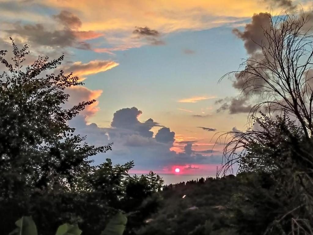 Guest House Chalet Agave Γκάγκρα Εξωτερικό φωτογραφία