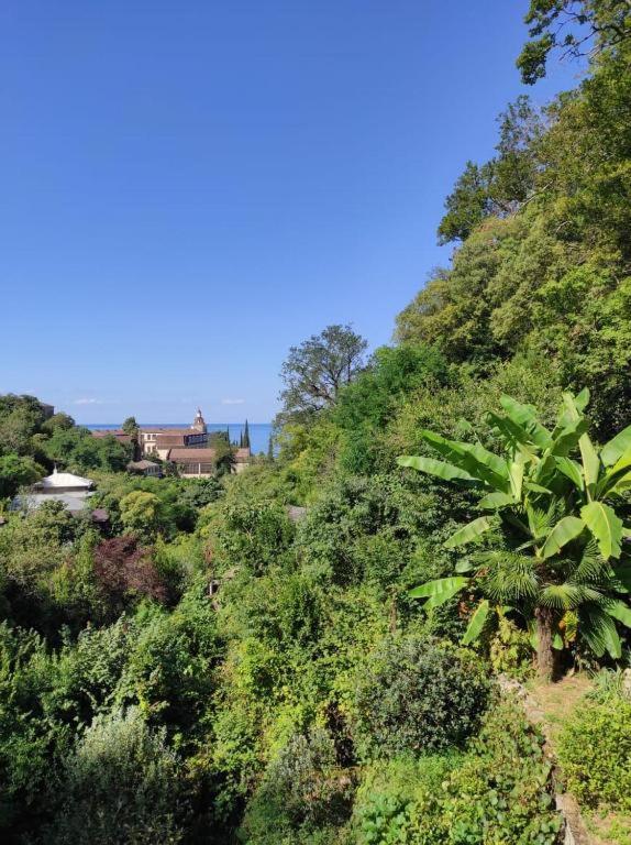 Guest House Chalet Agave Γκάγκρα Εξωτερικό φωτογραφία
